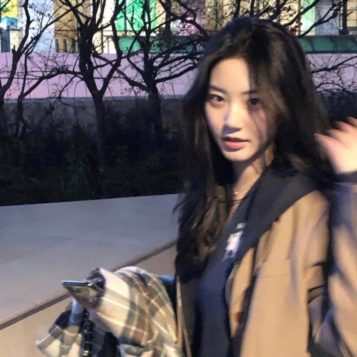 机智的公主殿下