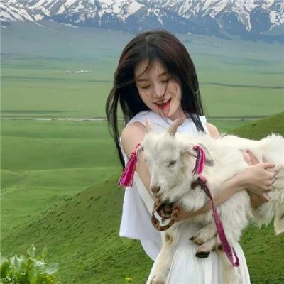 两万种蜜蜂 20.000